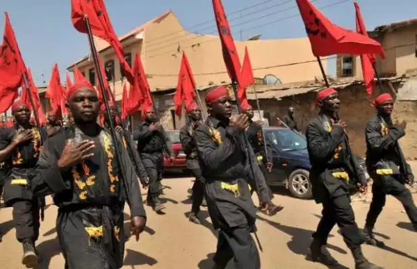 Lawyers petition US embassy, say Shi’ites are threat to peace in Nigeria